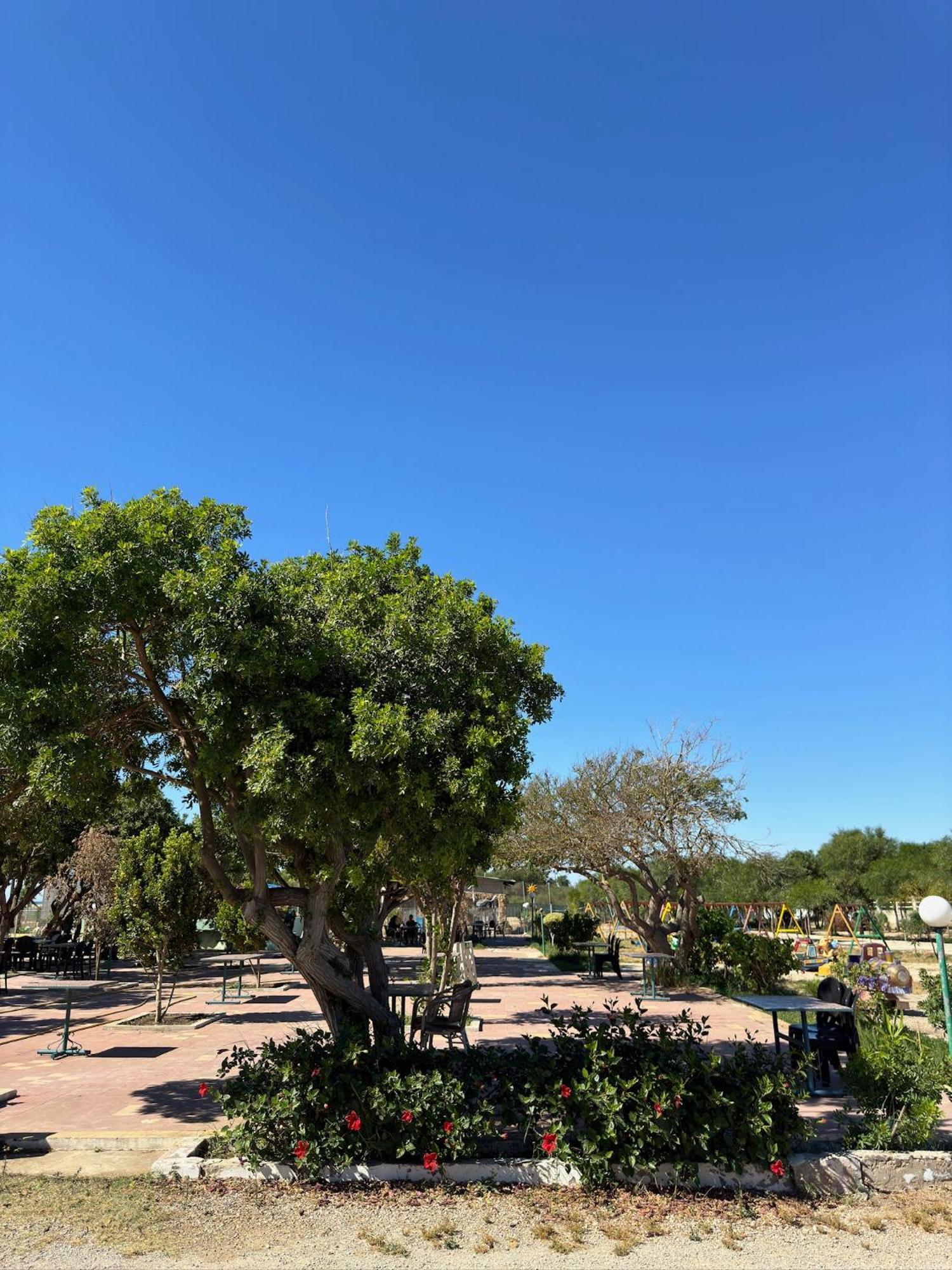 Camping Nature & Mer Tahadart - Bungalows Briech Eksteriør bilde